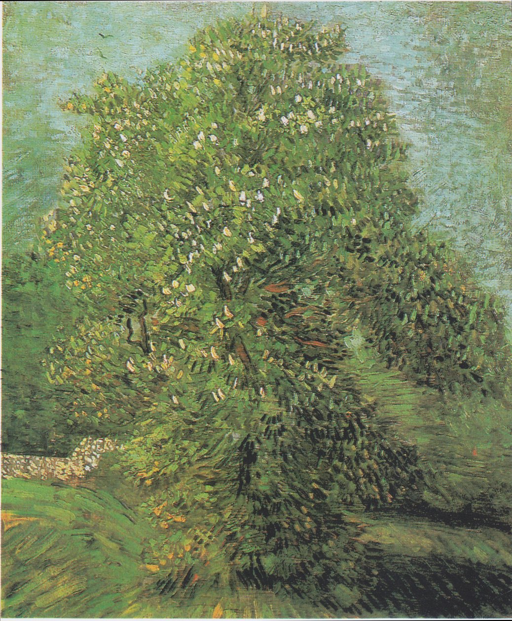 Kvetoucí kaštan od Vincent van Gogh