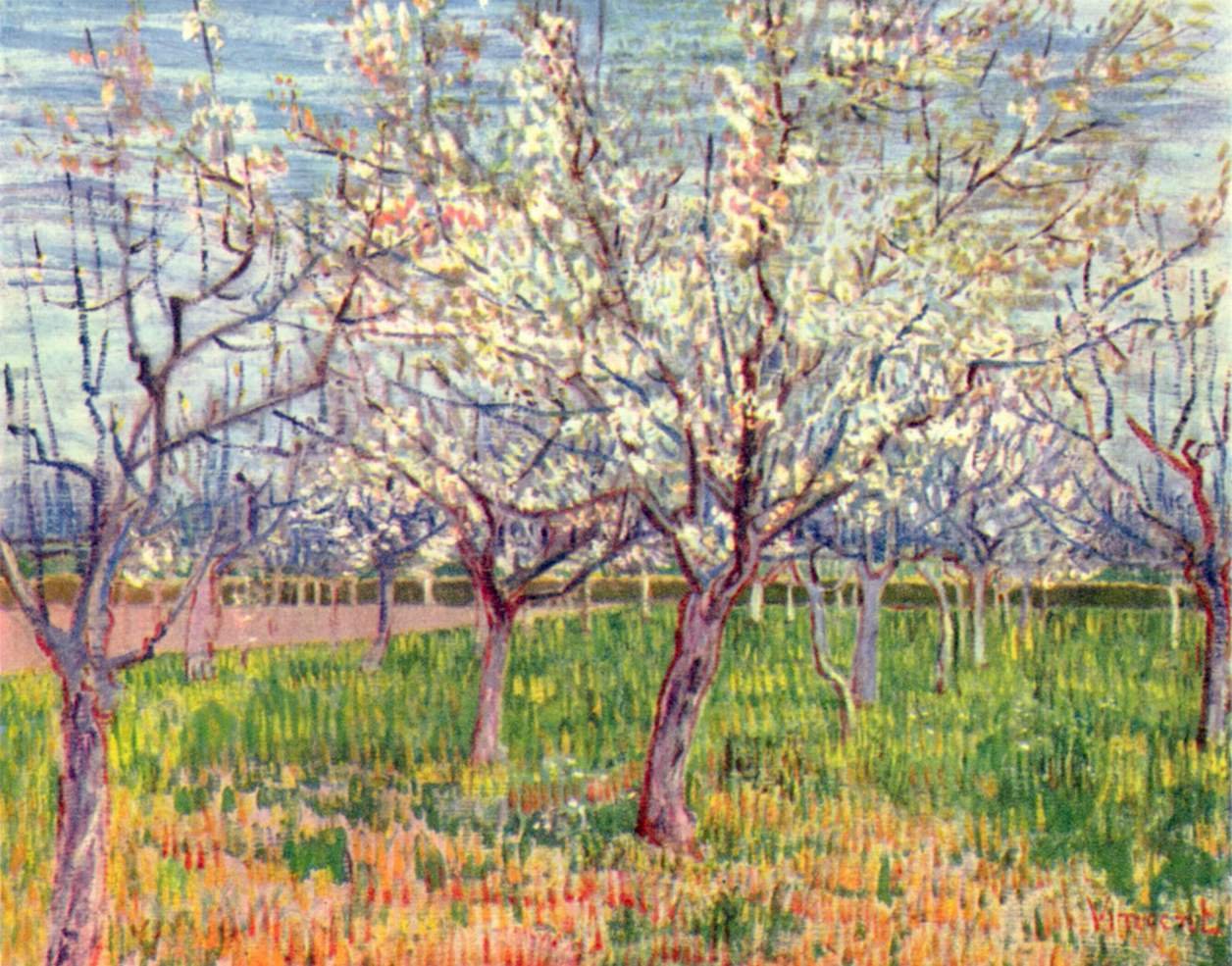 Kvetoucí sad od Vincent van Gogh