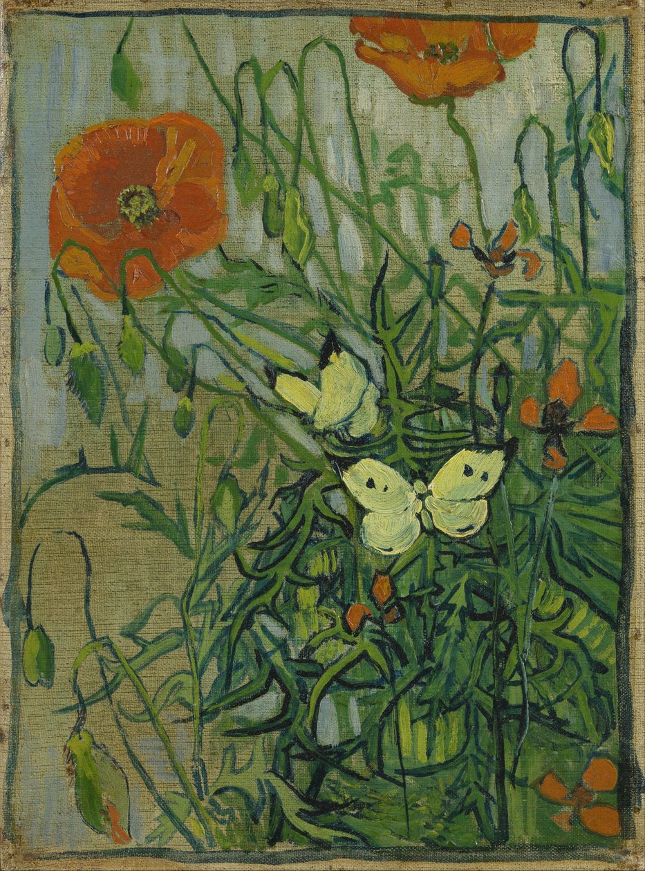 Motýli a vlčí máky od Vincent van Gogh