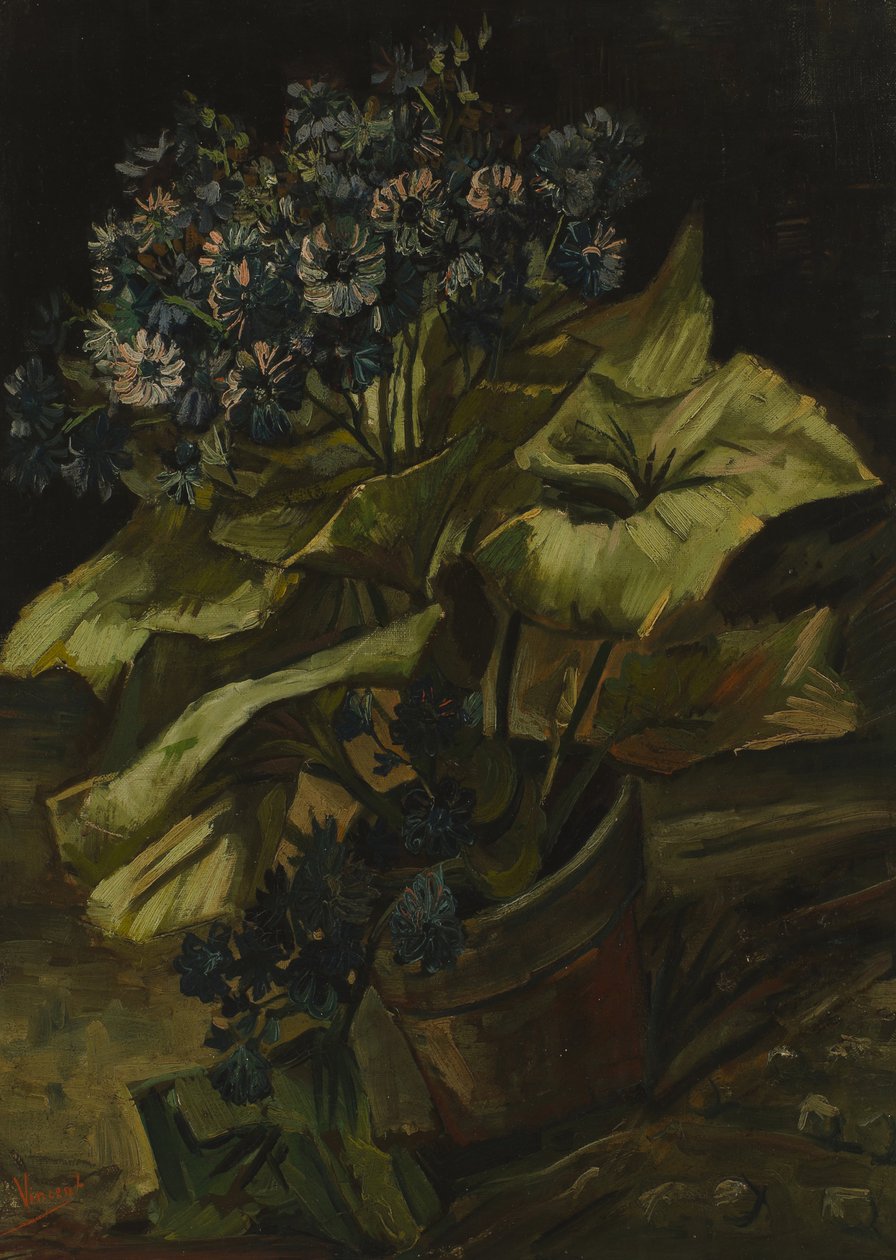 Cineraria od Vincent van Gogh