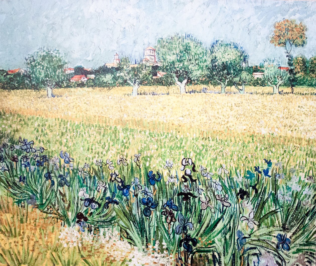 Růžový broskvoní od Vincent van Gogh