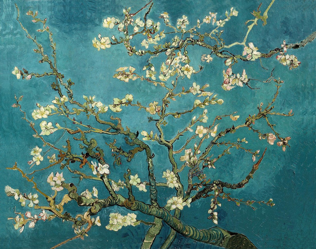 Květ mandloně od Vincent van Gogh