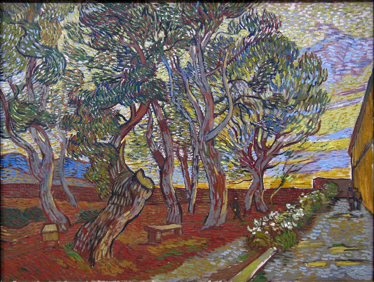 Zahrada instituce svatého Pavla od Vincent van Gogh