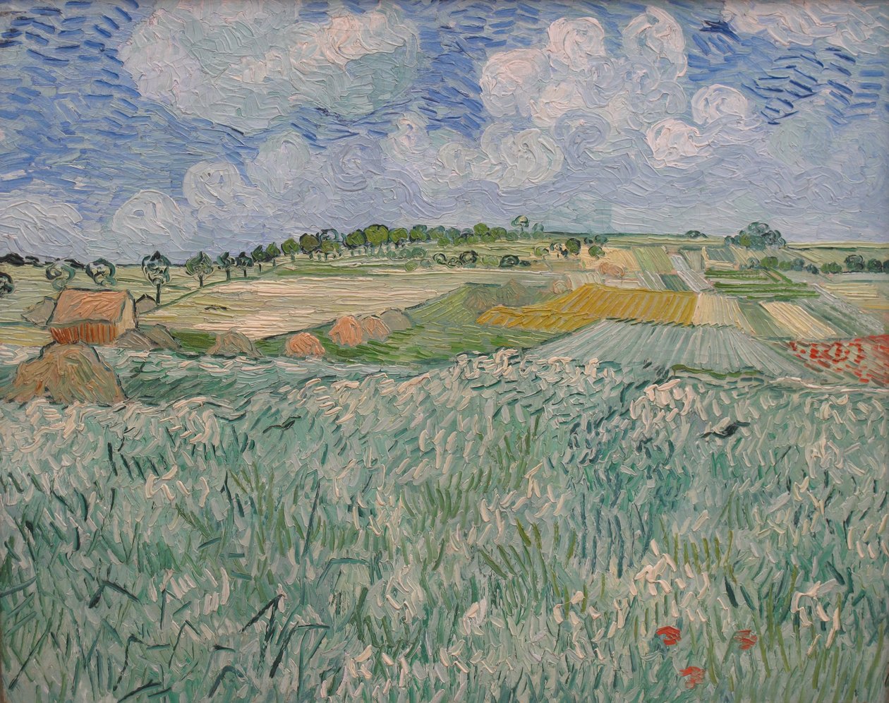 Úroveň na Auvers od Vincent van Gogh