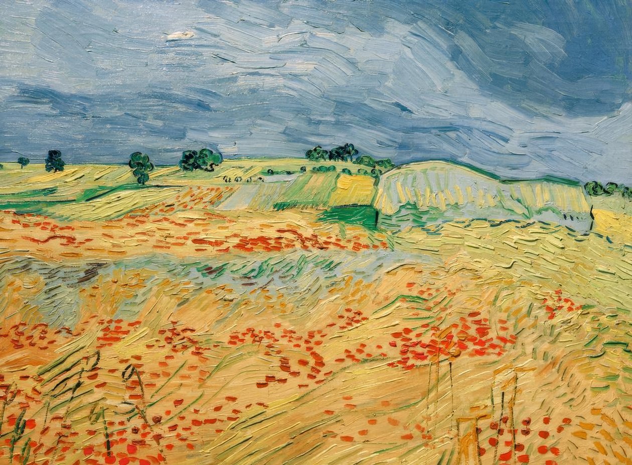 Pole s kvetoucími máky od Vincent van Gogh