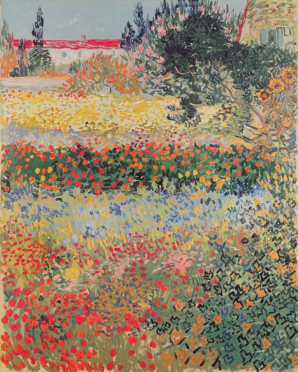 Garden in Bloom, Arles, červenec 1888 od Vincent van Gogh