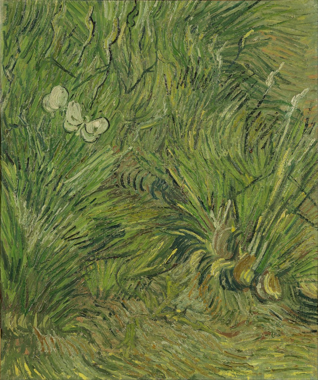 Zahrada s motýly od Vincent van Gogh