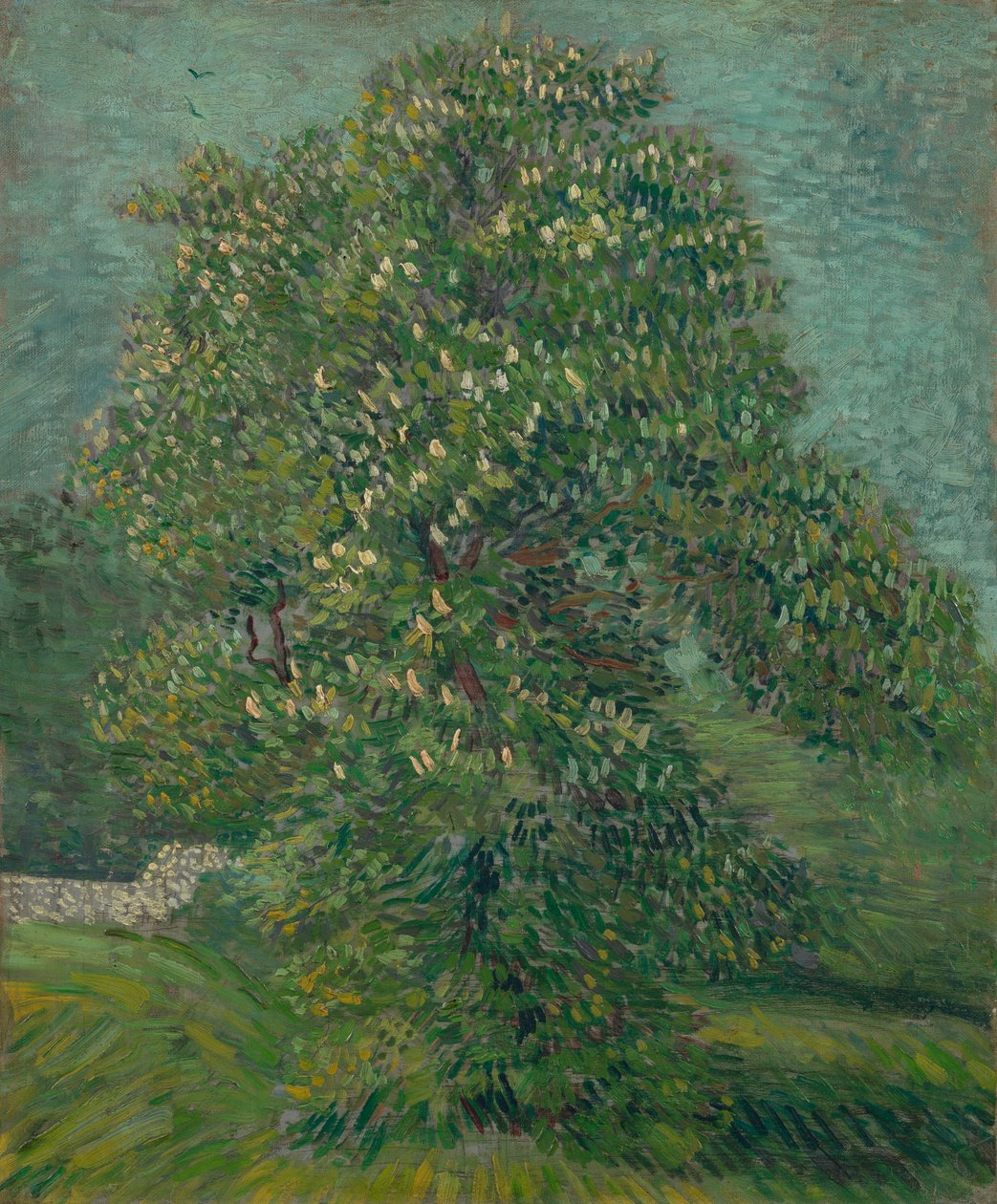 Kaštan koňský v květu od Vincent van Gogh
