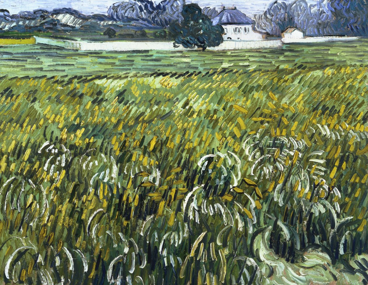 Dům v Auvers od Vincent van Gogh