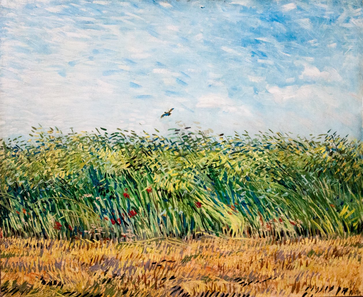 Můj sen od Vincent van Gogh