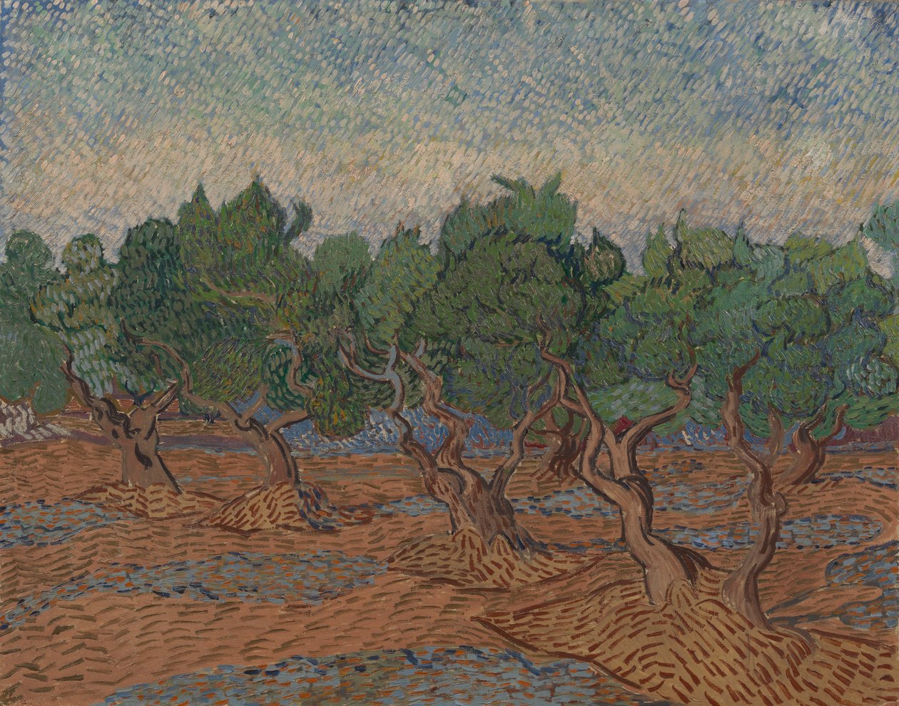 Olivový háj od Vincent van Gogh
