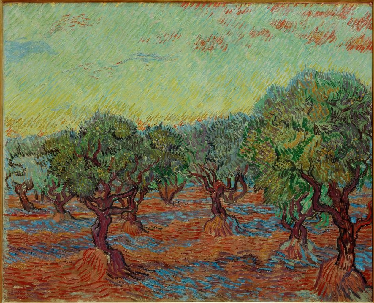 Olivový háj od Vincent van Gogh