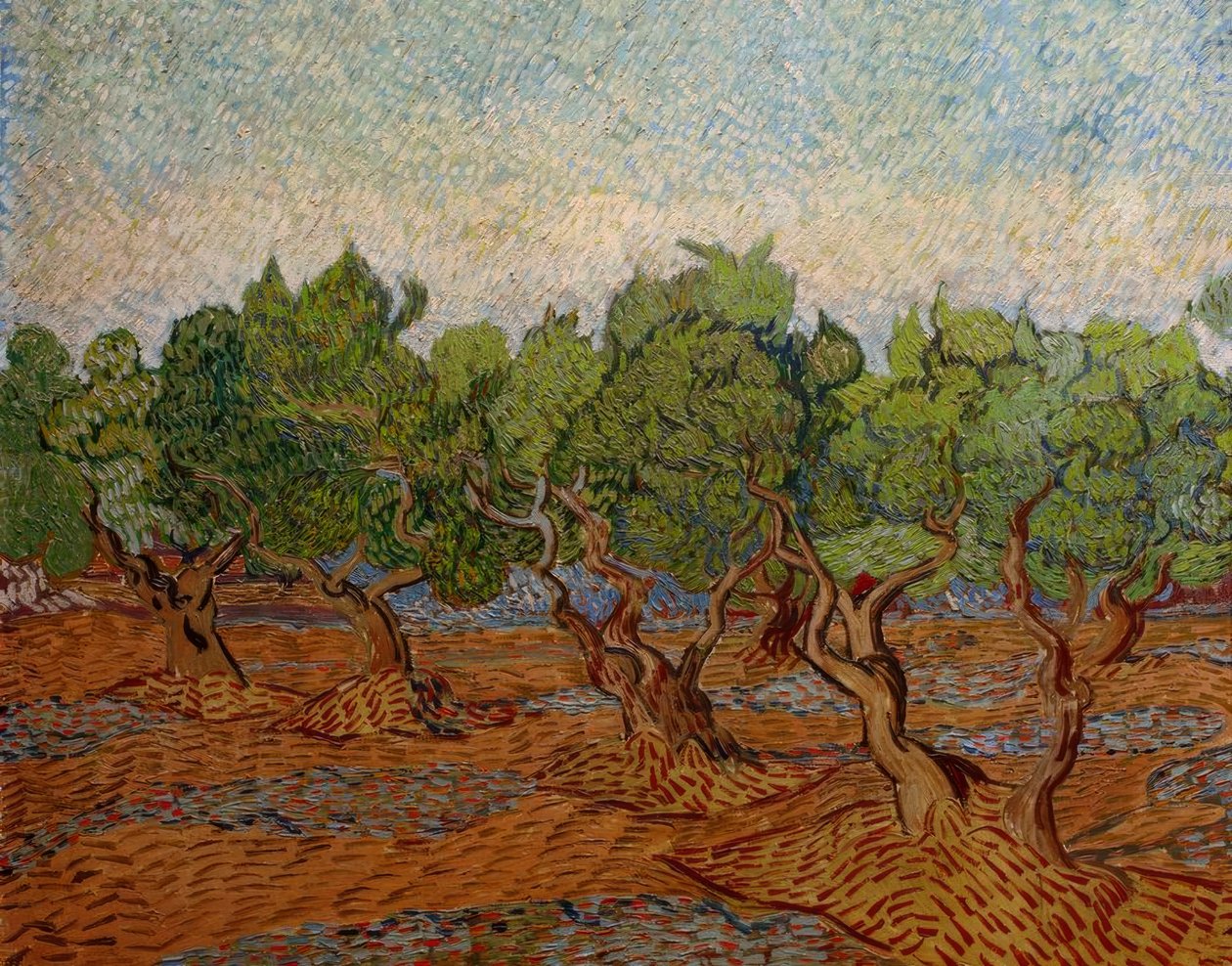 Olivový háj od Vincent van Gogh