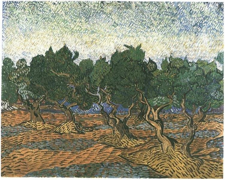 Olivový háj 3 od Vincent van Gogh