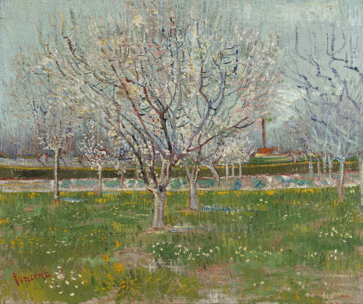 Sad v květu (švestky) od Vincent van Gogh