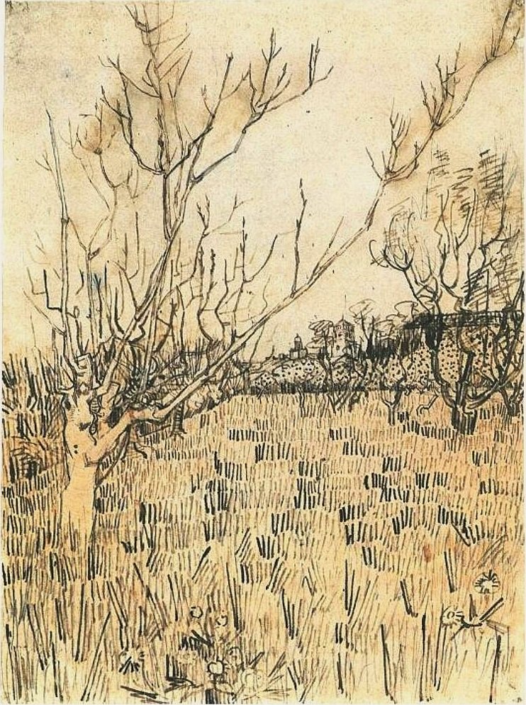 Sad s Arlesem v pozadí od Vincent van Gogh