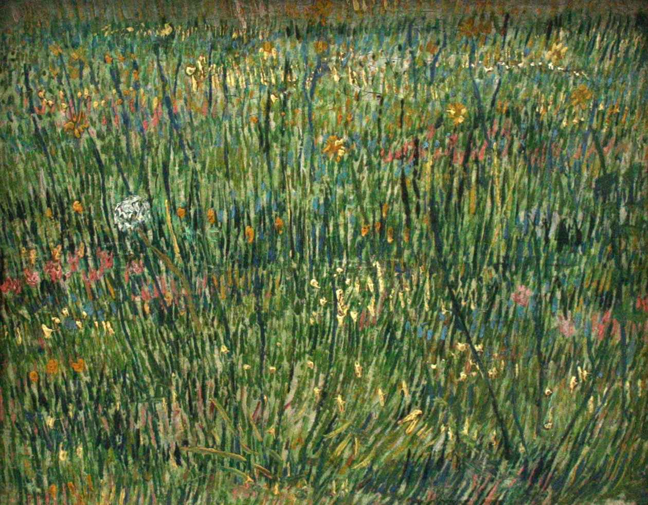 Patch trávy od Vincent van Gogh
