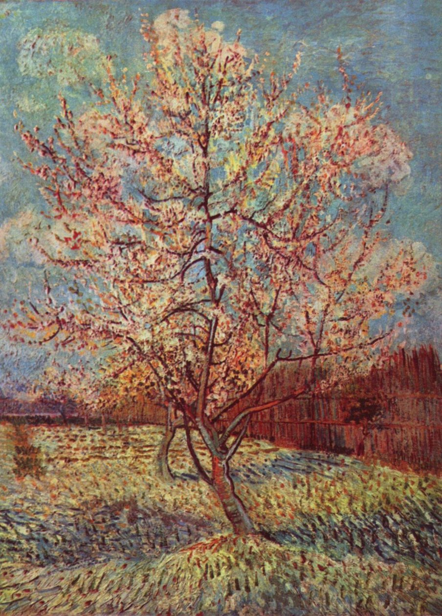 Broskvový strom v květu od Vincent van Gogh