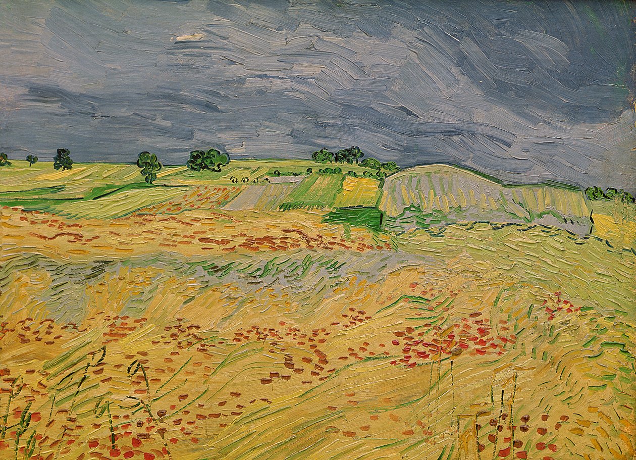 Plain at Auvers, 1890 od Vincent van Gogh