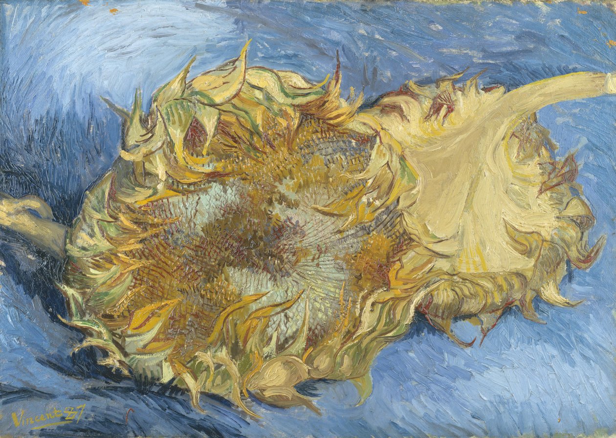 Slunečnice od Vincent van Gogh