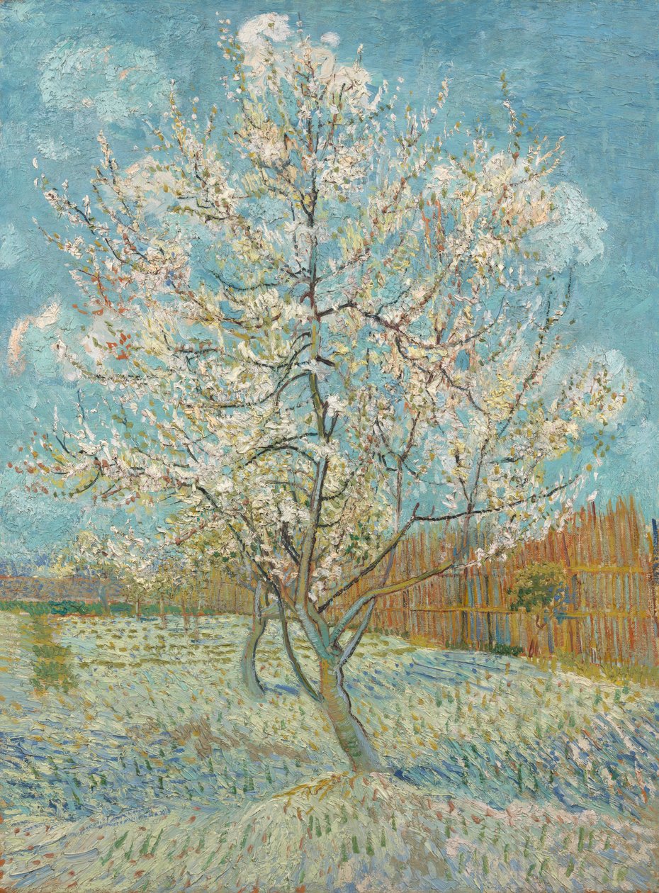 Růžová broskvoň, 1888 od Vincent van Gogh