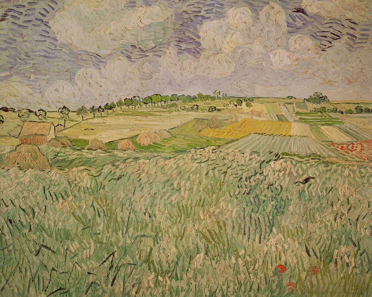 The Plain at Auvers, 1890 od Vincent van Gogh