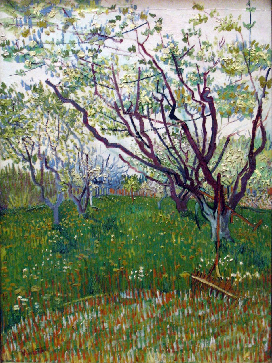 Rozkvetlý sad od Vincent van Gogh