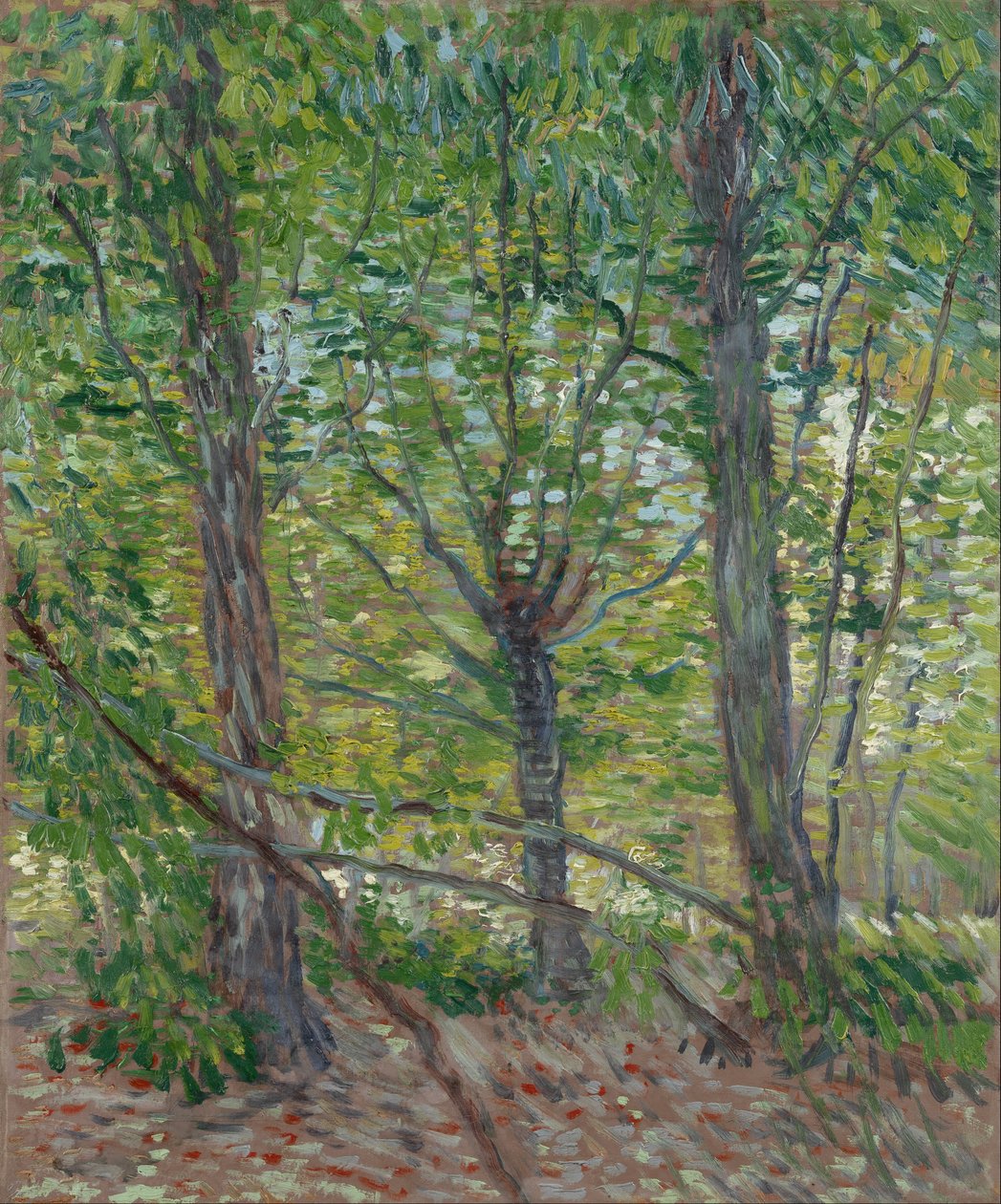 Stromy od Vincent van Gogh