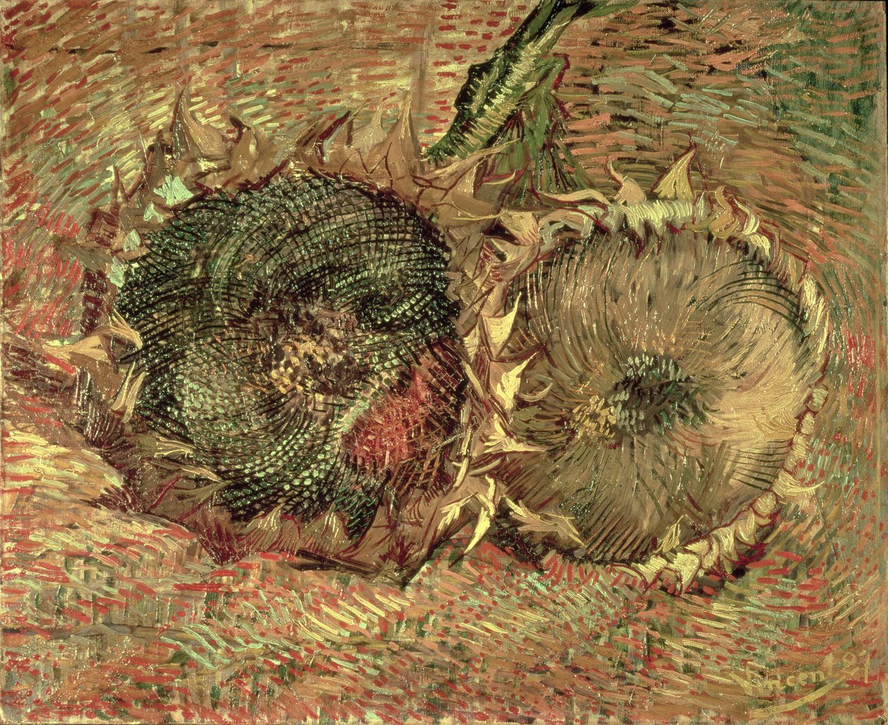 Dvě řezané slunečnice, 1887 od Vincent van Gogh