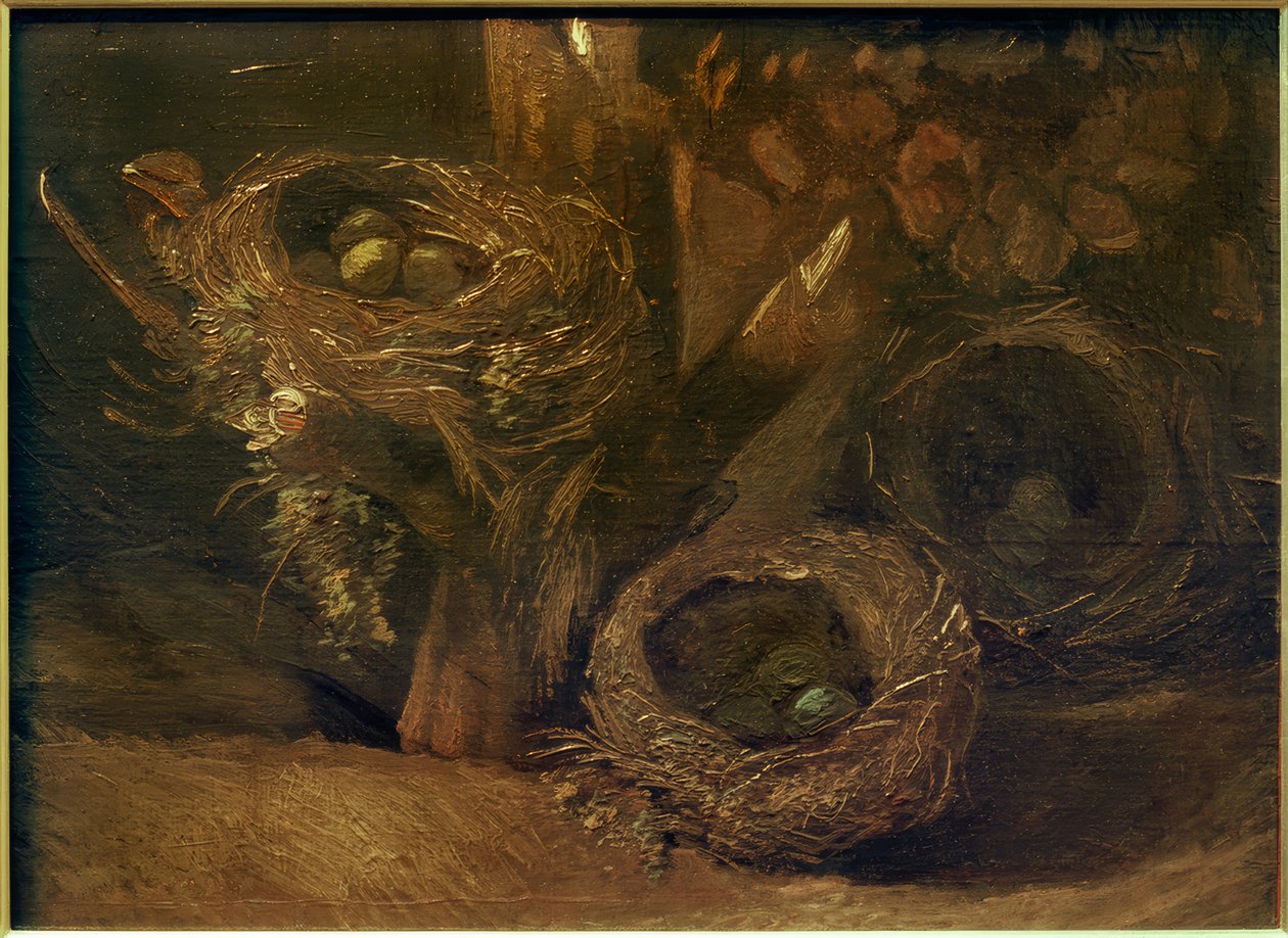 Ptačí hnízda od Vincent van Gogh
