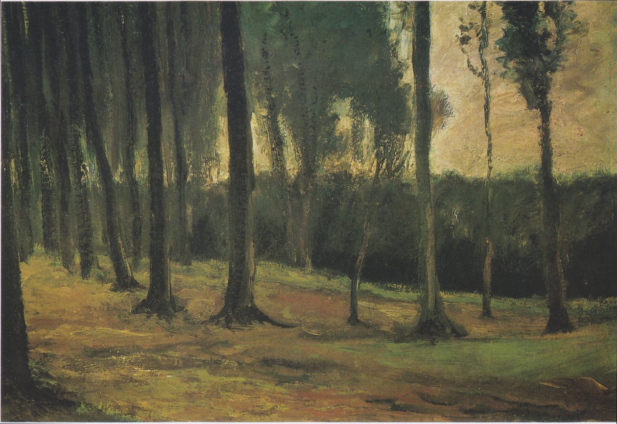 Okraj lesa od Vincent van Gogh