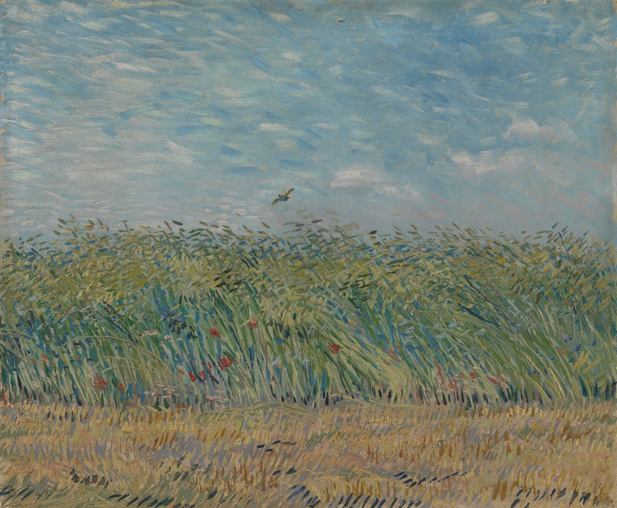Wheatfield s Partridgem, 1887 od Vincent van Gogh