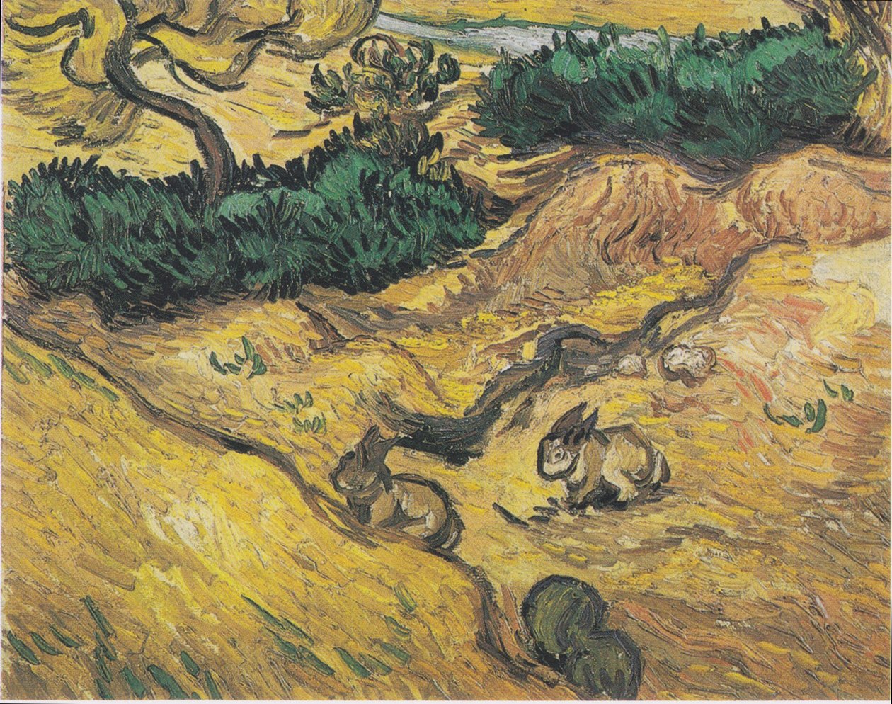 Dva králíci na louce od Vincent van Gogh