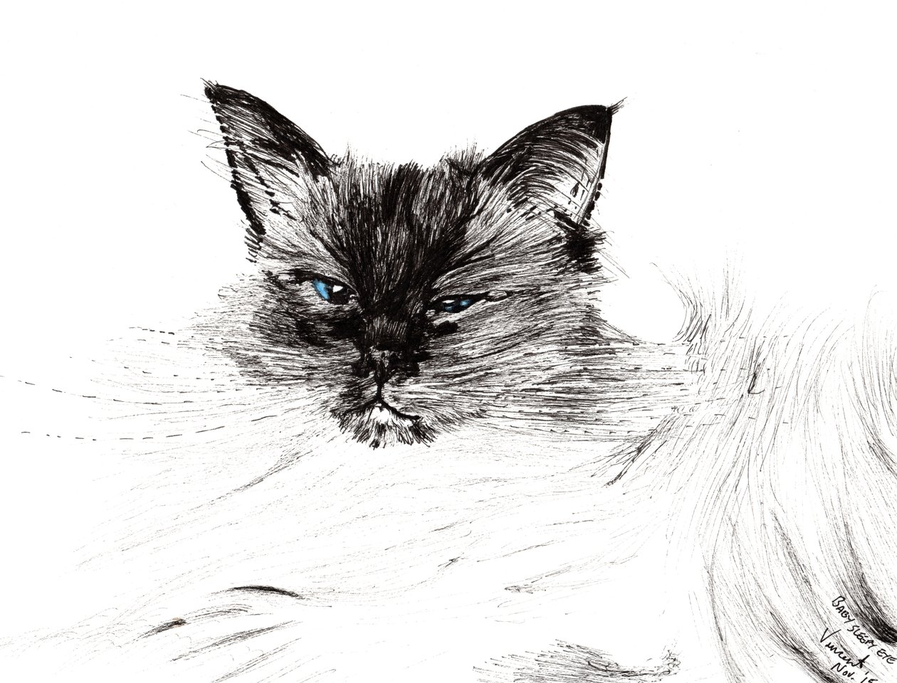 Ospalé oko, 2015, (inkoust na papíře) od Vincent Alexander Booth