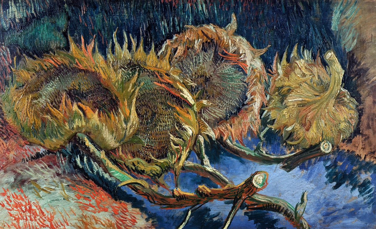 Čtyři řezané slunečnice, 1887. od Vincent van Gogh