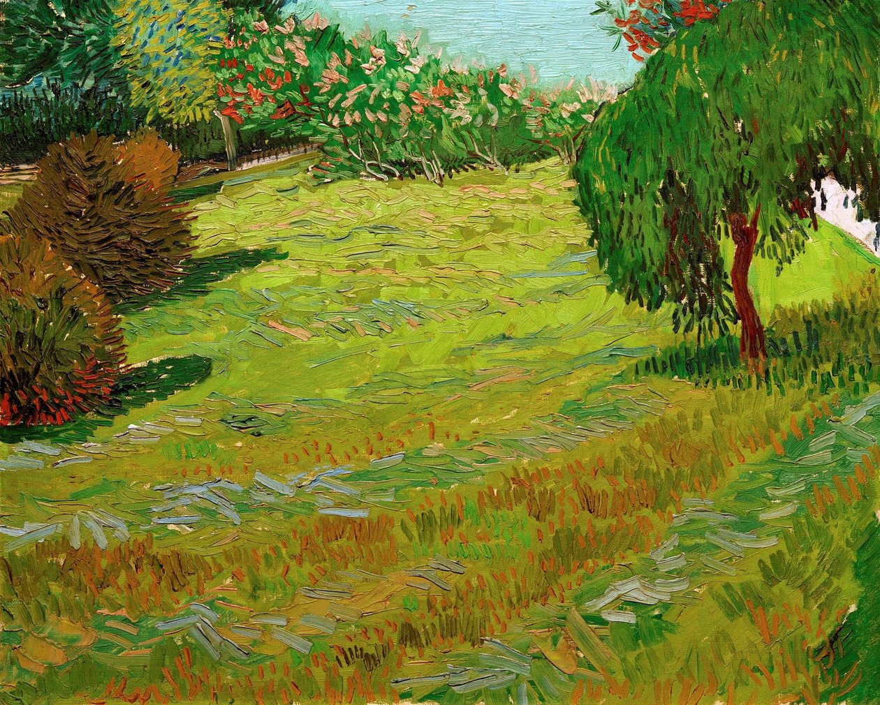 Zahrada se smuteční vrbou, 1888. od Vincent van Gogh