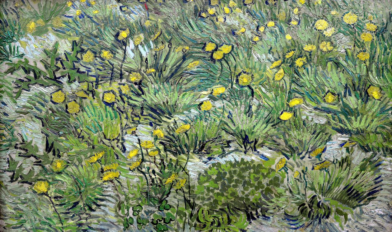 Pampelišky Pampelišky, 1889. od Vincent van Gogh