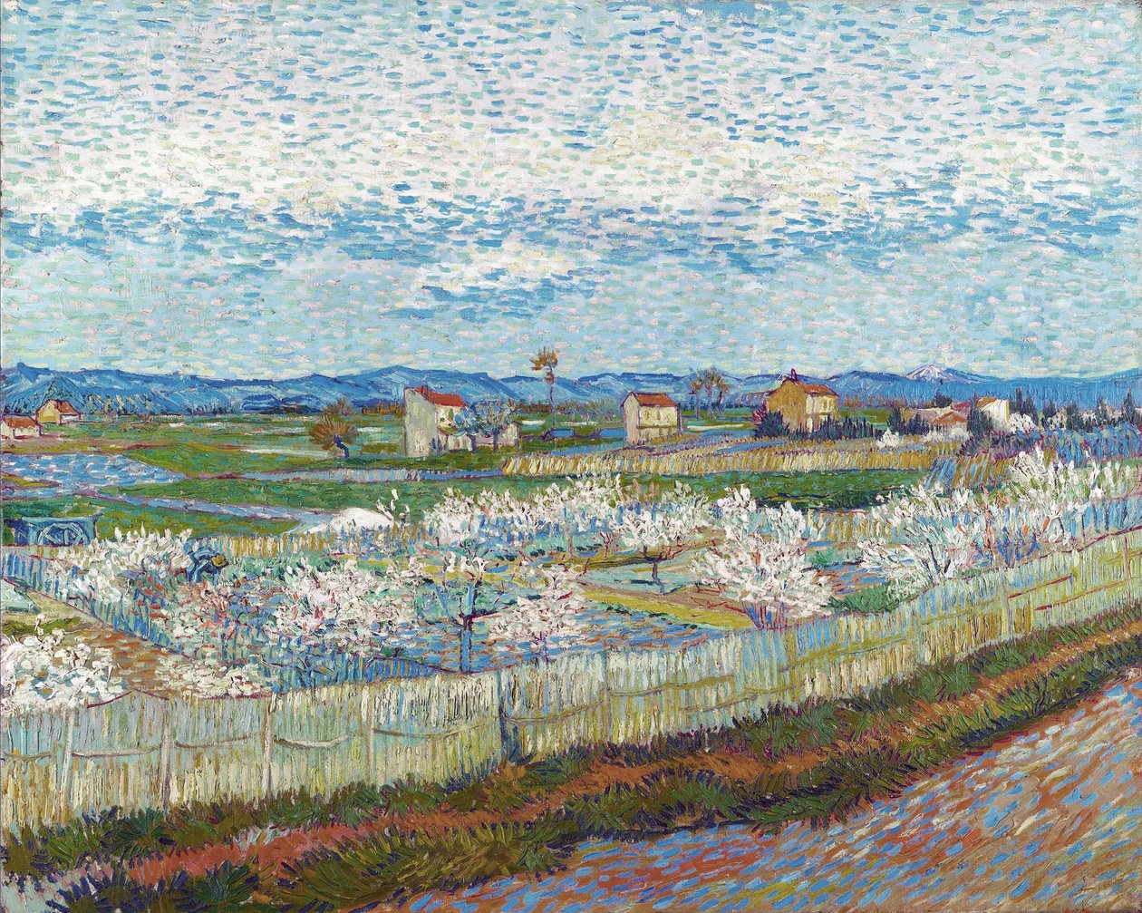 Peach Trees in Blossom, 1889. od Vincent van Gogh