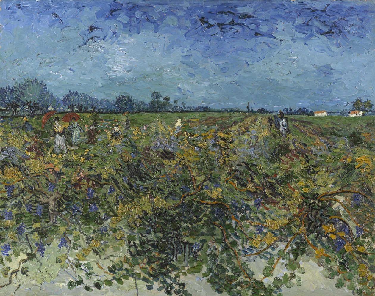 Zelená vinice, 1888. od Vincent van Gogh