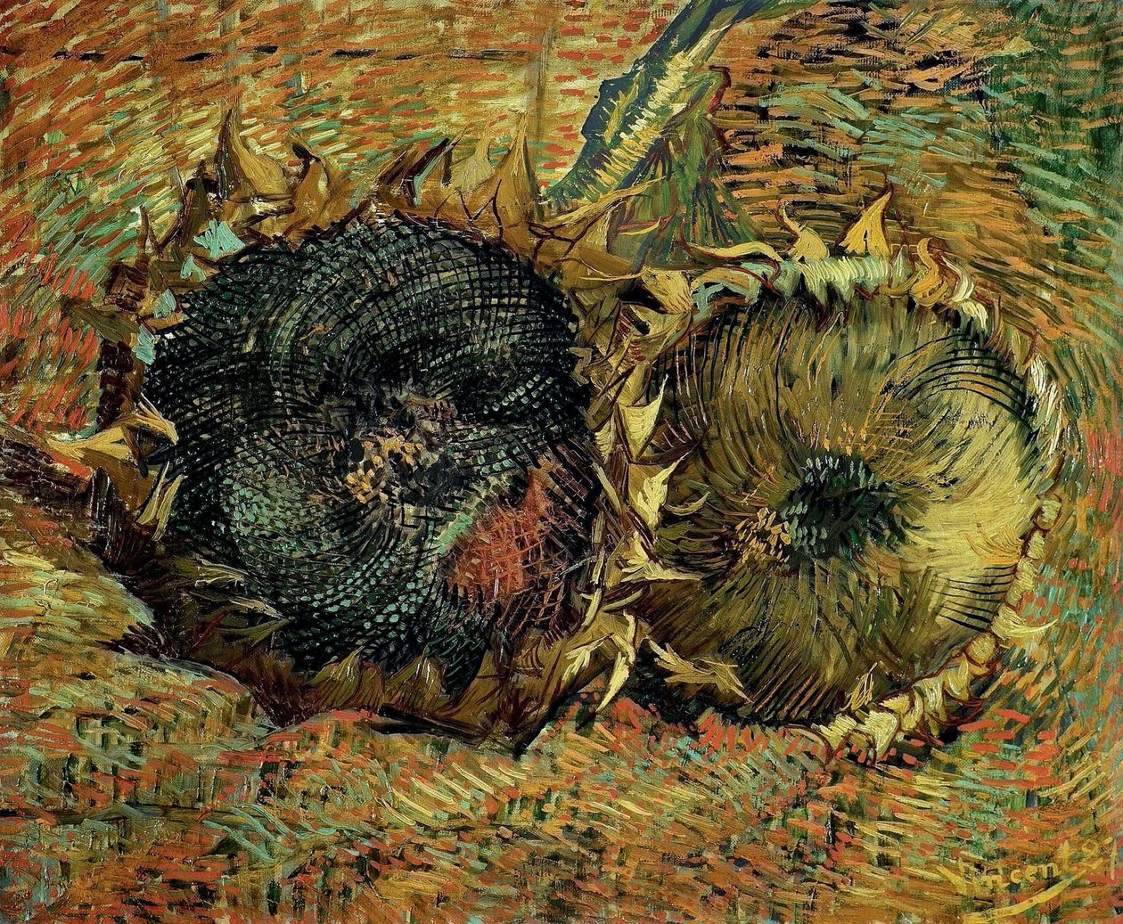 Dvě řezané slunečnice, 1887. od Vincent van Gogh