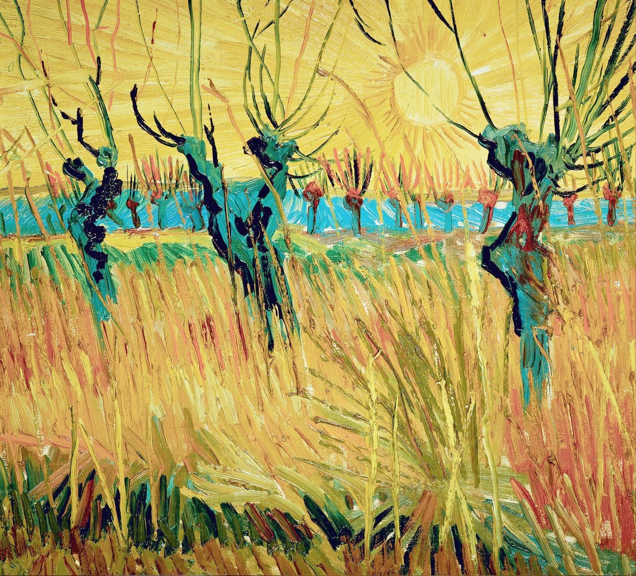 Vrby při západu slunce, 1888. od Vincent van Gogh