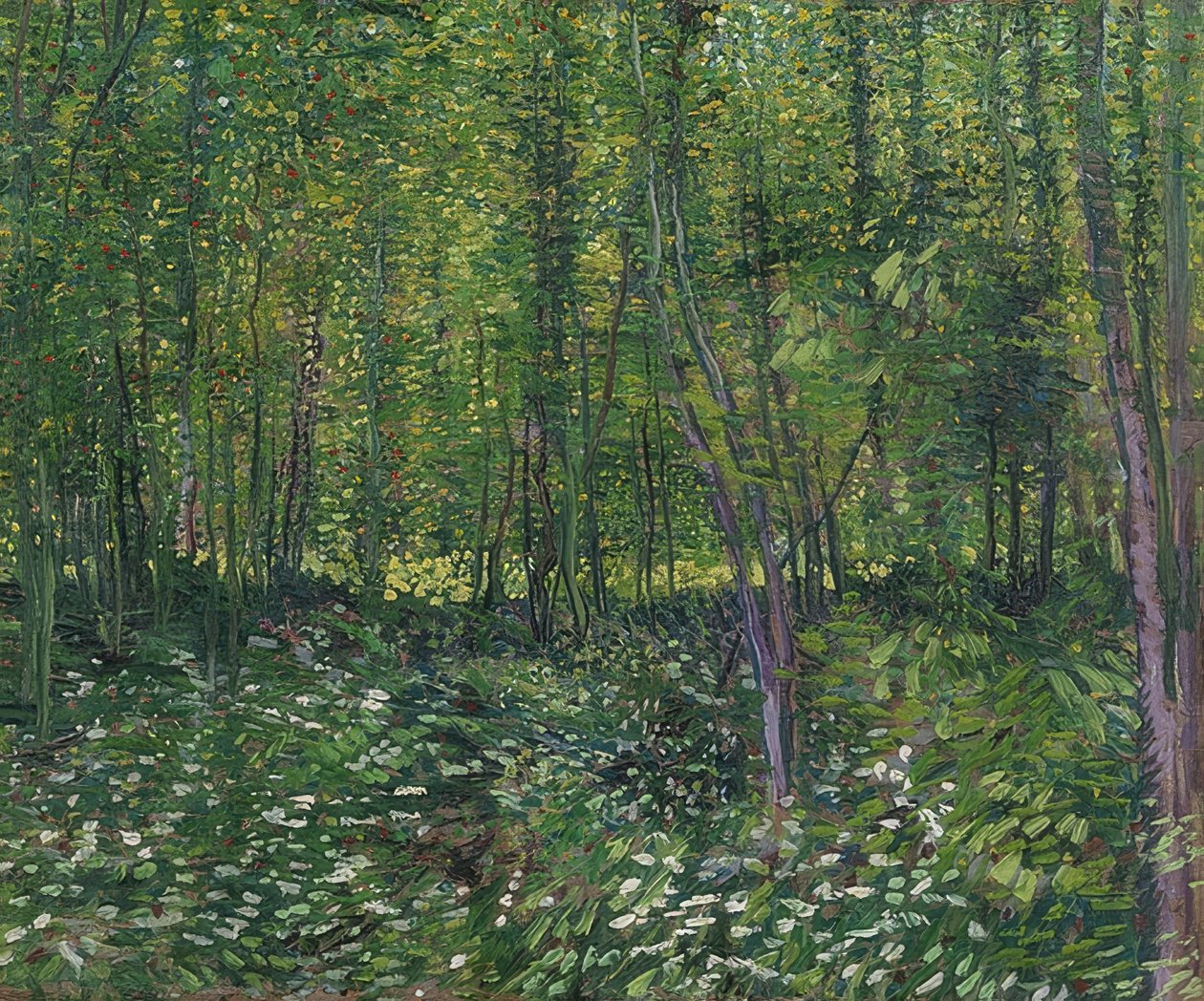 Stromy a podrost. 1887 od Vincent van Gogh