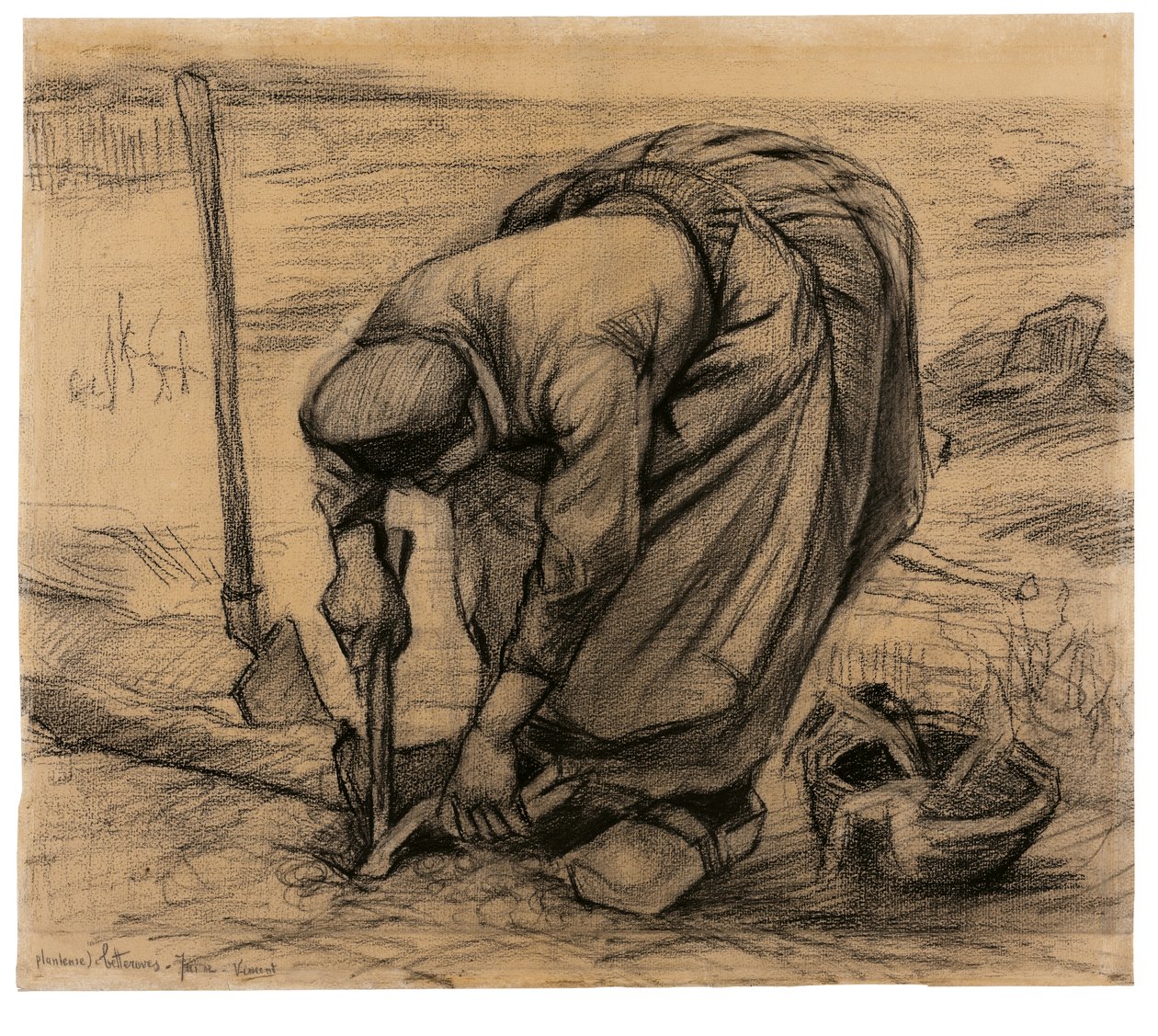 Sadbovač na záhon od Vincent van Gogh