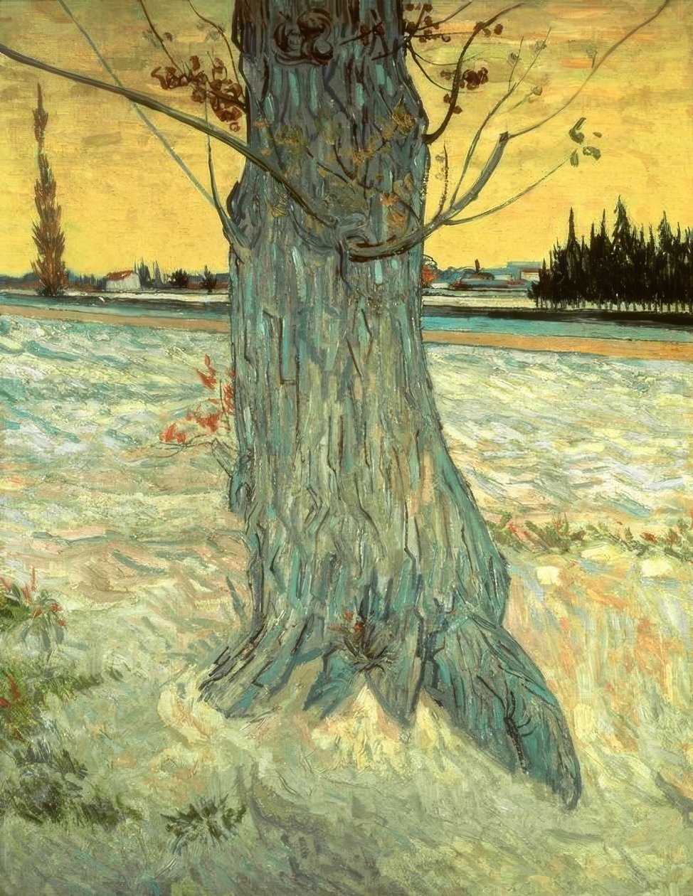Strom od Vincent van Gogh