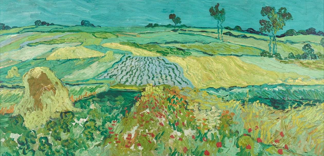 Auversská rovina od Vincent van Gogh