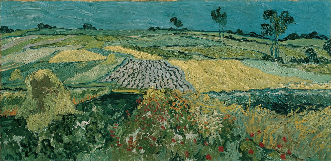 The Auvers Plain od Vincent van Gogh