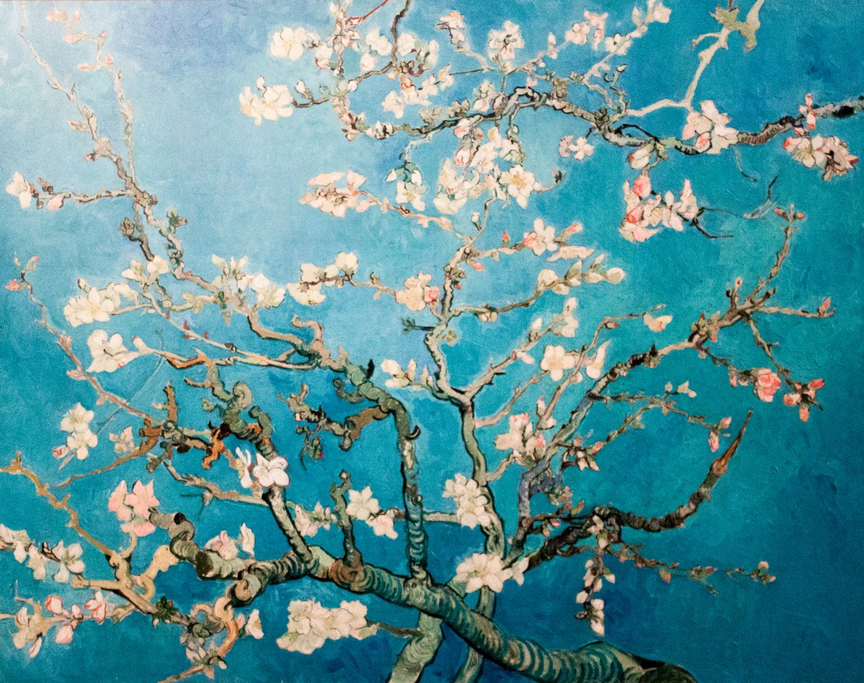 Nizozemsky: Amandelbloesem Kvetoucí mandloňový stromek s větvemi od Vincent van Gogh