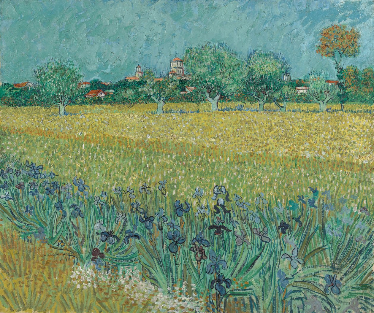 Pole s květinami u Arles od Vincent van Gogh