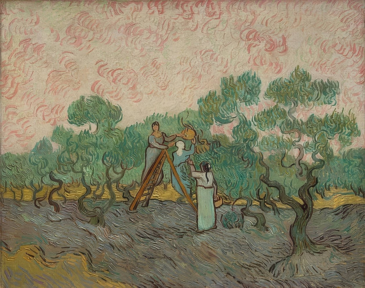 Ženy sklízejí olivy. 1889 od Vincent van Gogh