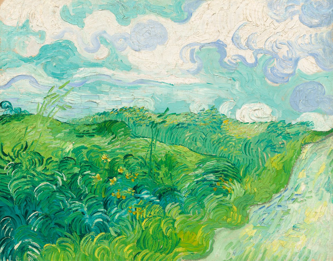 Zelená pšeničná pole, Auvers od Vincent van Gogh